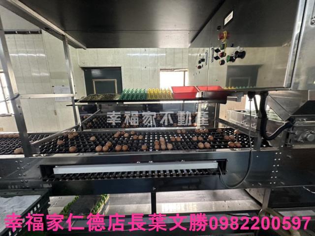 鹽水畜牧場-7