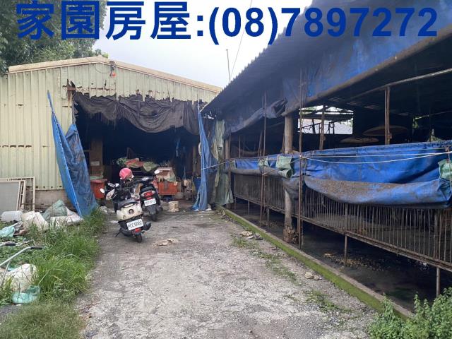 內埔合法豬舍-2