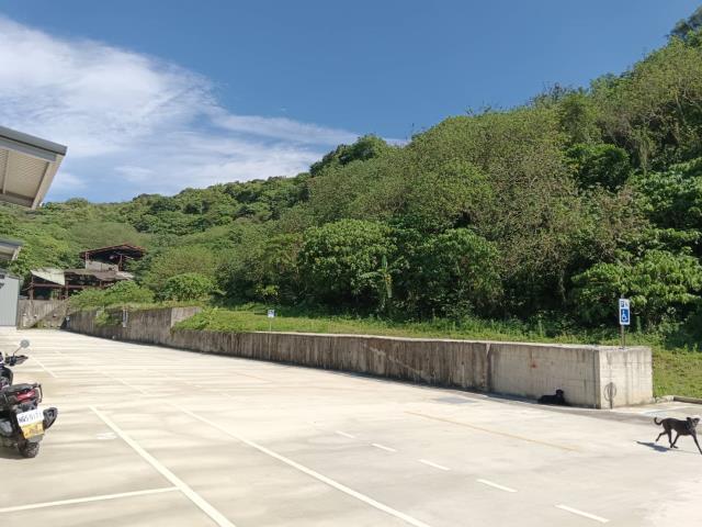 樹林廠房-2