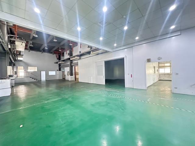 新竹新豐廠房-2