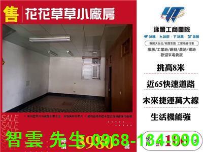樹林廠房-1