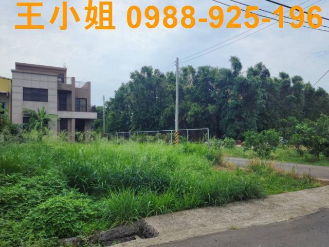 桃園中壢農舍-7