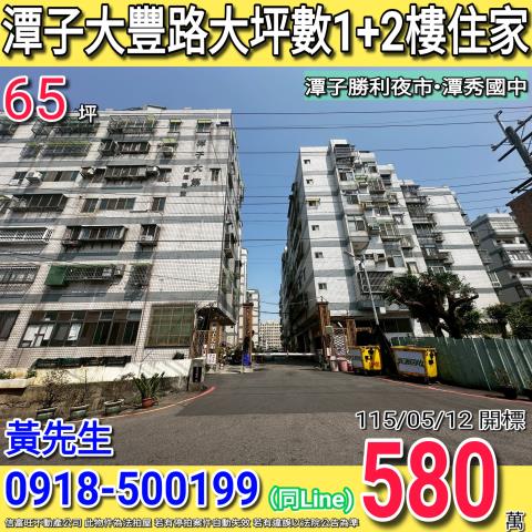 台中潭子大樓拍賣-1