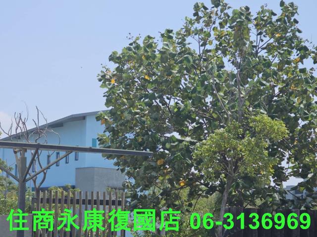 台南大樓-9