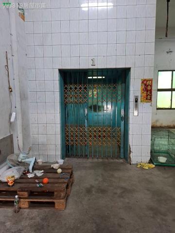 燕巢廠房-13