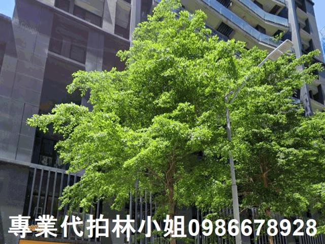 新莊法拍大樓-3