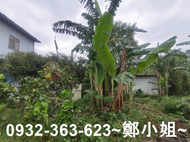 龍潭農舍-5