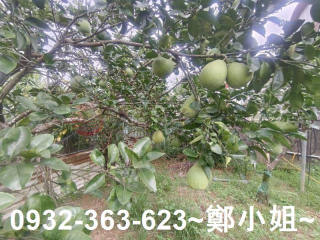 龍潭農舍-9