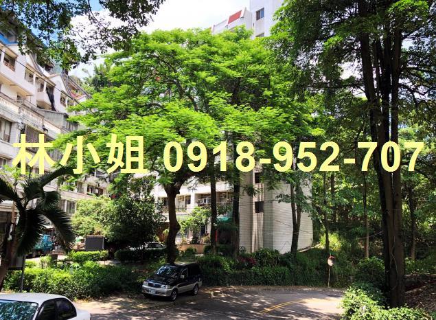 台中華廈法拍-4