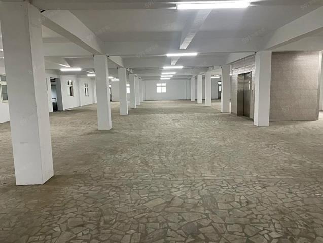 桃園大園廠房-1