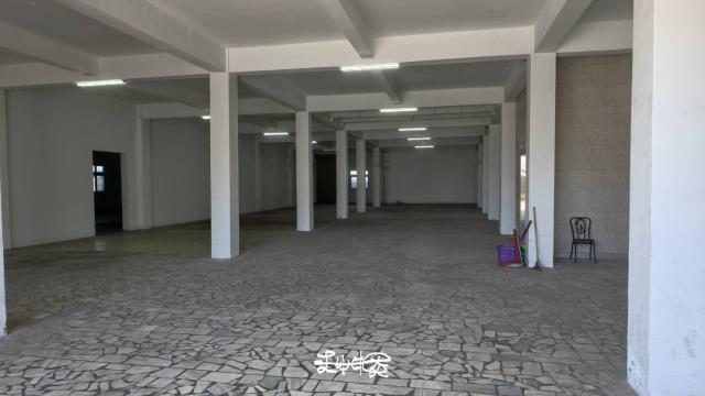 桃園大園廠房-2