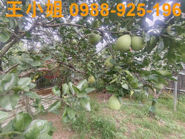 龍潭農舍-7