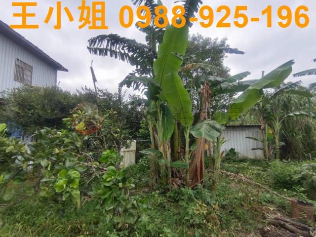 龍潭農舍-9