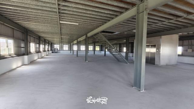 桃園大園廠房-1