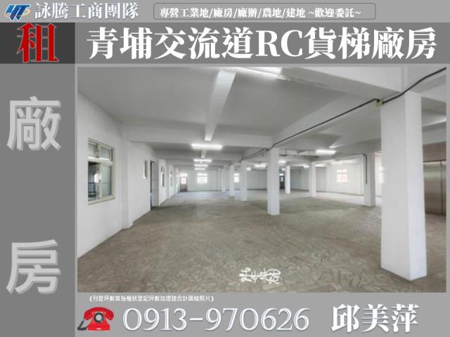 桃園大園廠房-1