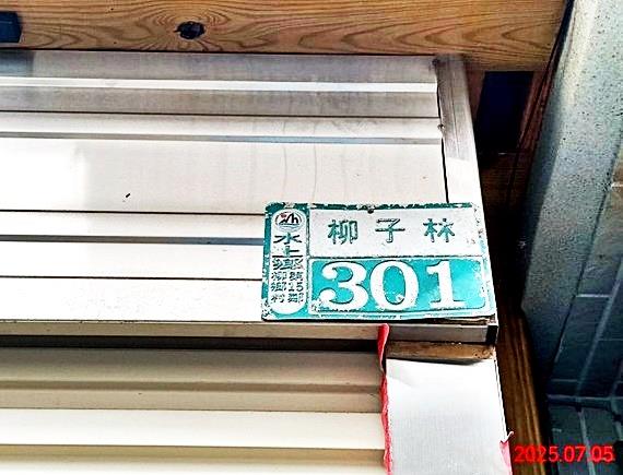 水上柳子林2戶透天