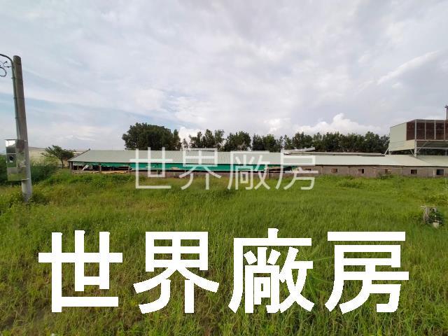 鳥松廠房-1