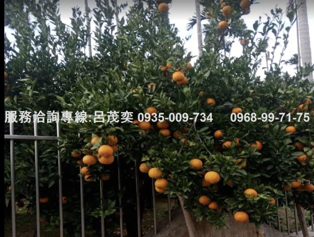 關西公寓-7