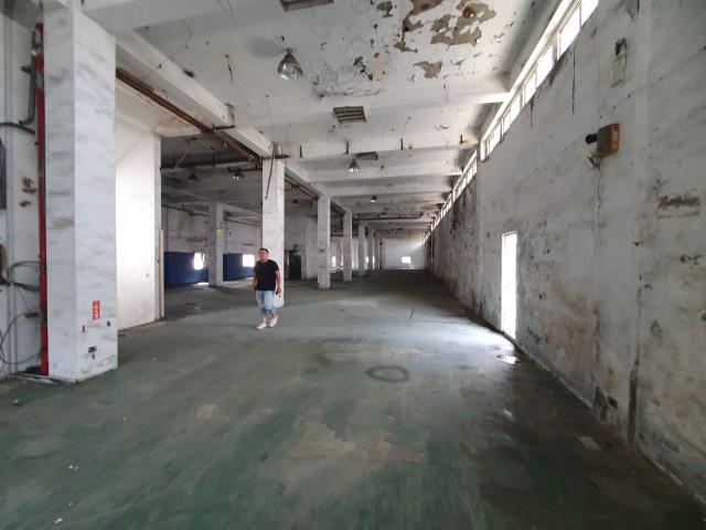 桃園區廠房-1