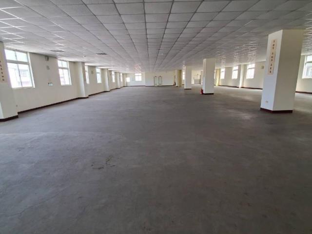 桃園平鎮廠房-2