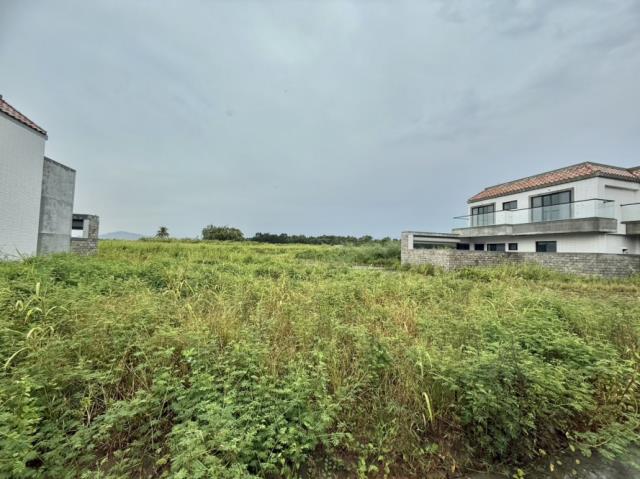 玉井透天-13
