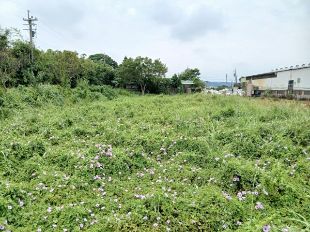 桃園楊梅農舍-8