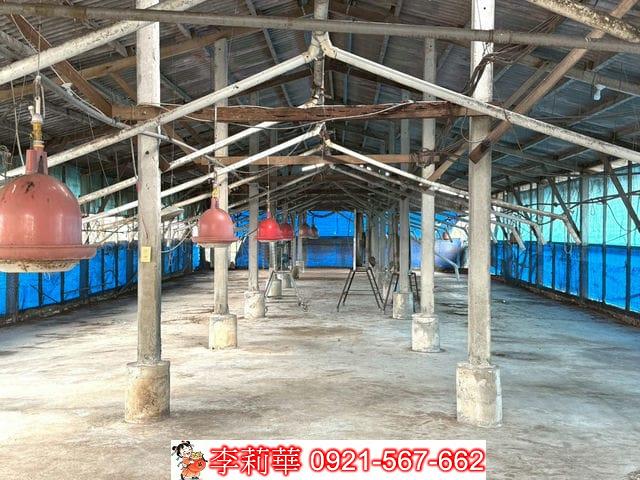 台南後壁畜牧場-10