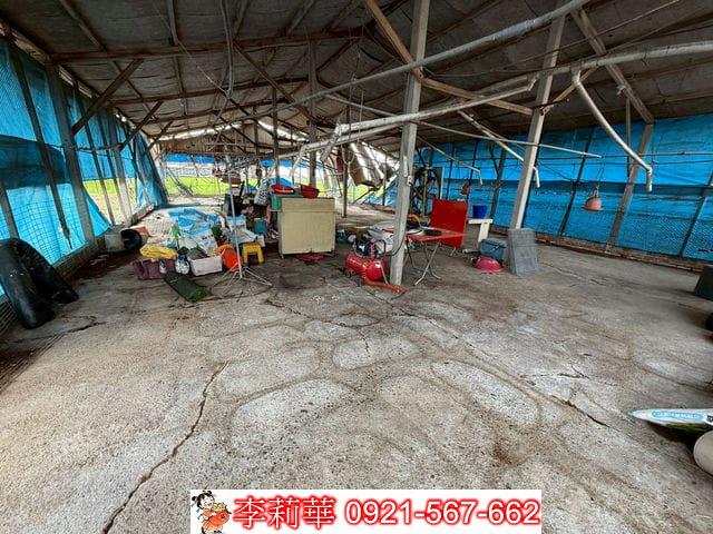 台南後壁畜牧場-12