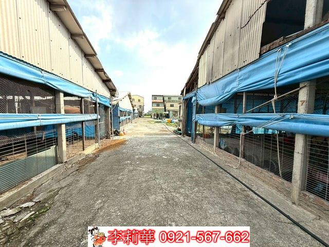 台南後壁畜牧場-6