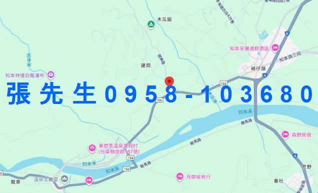 卑南法拍華廈-6