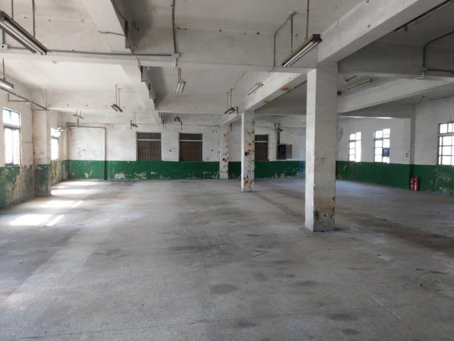 桃園八德廠房-4