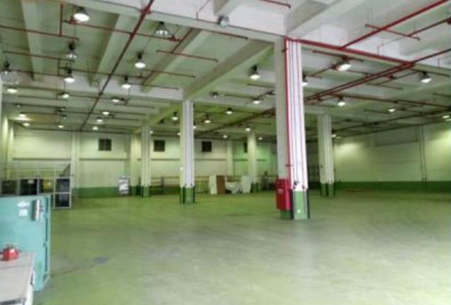 桃園大園廠房-1