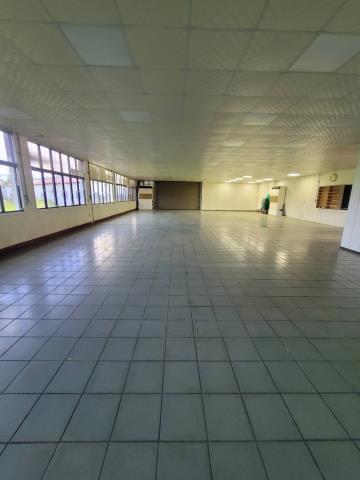 新竹新埔廠房-1