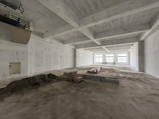 新竹湖口廠房-2