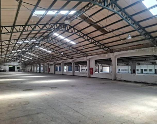 桃園楊梅廠房-3