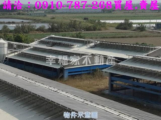 台南將軍雞舍-4