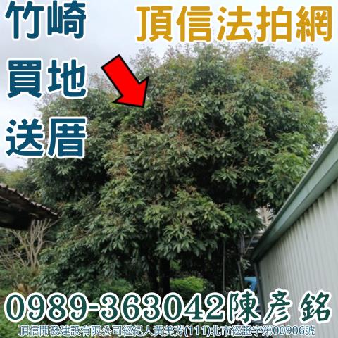 嘉義竹崎拍賣透天-5