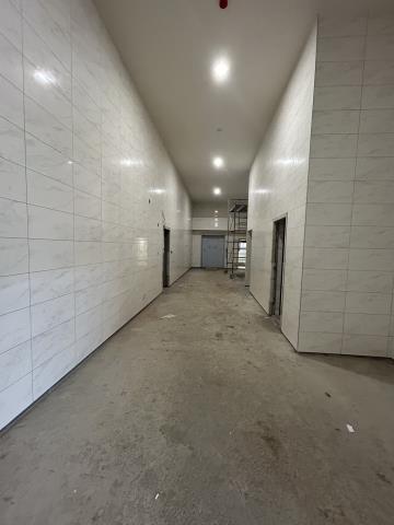 新北樹林廠房-2