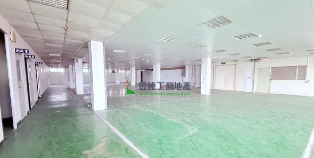 桃園中壢廠房-3