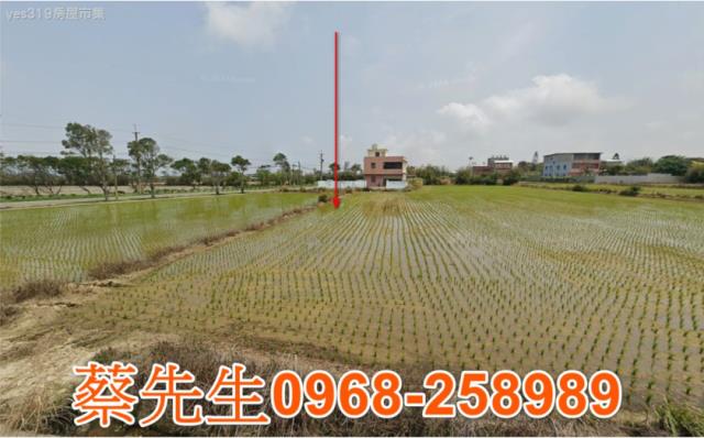 桃園觀音拍賣農舍-3