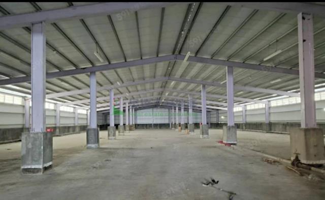 桃園觀音廠房-2