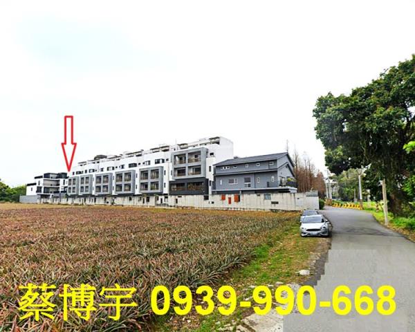 嘉義市東區大雅路法拍