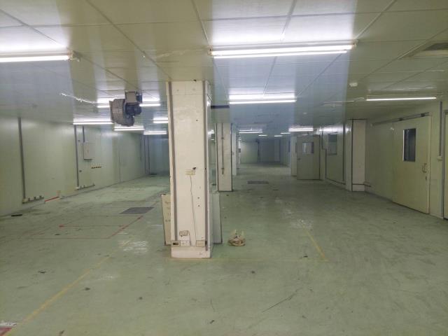 新北五股廠房-5