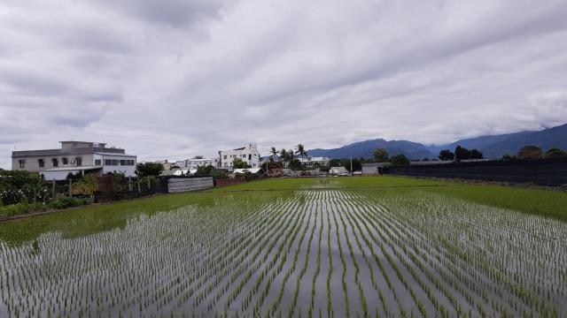 台東台東市透天-3