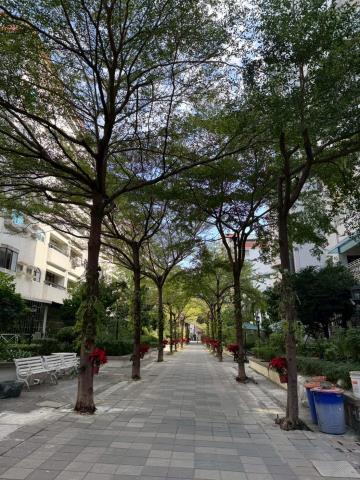 高雄苓雅法拍華廈-4