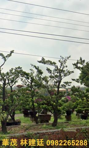 鹽水法拍農舍-5