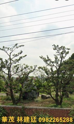 鹽水法拍農舍-6