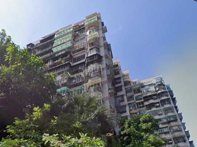 樹林拍賣大樓-2