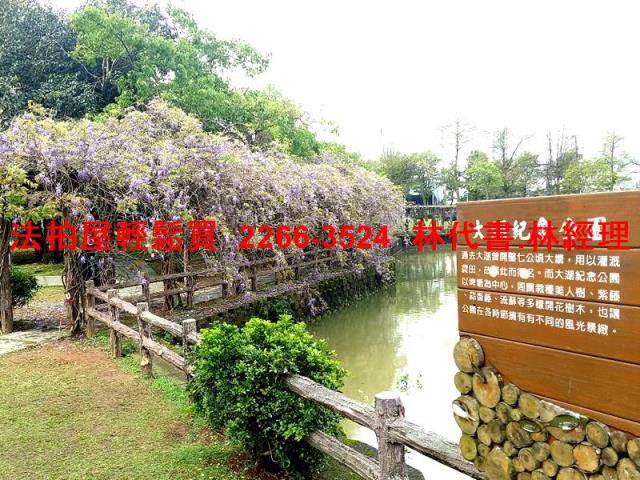 桃園法拍華廈-12