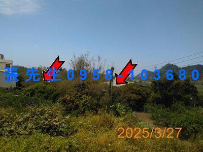 台中豐原法拍透天-1